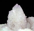Cactus Quartz (Amethyst) Cluster - Large Crystals #62963-2
